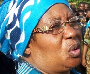 Vice President Joyce Banda: Party members revealed