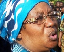 Presidential Contact and Dialogue Group to submit report to Pres. Joyce Banda