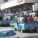 DPP supporters clash over party’s 2014 torch bearer