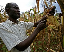 Get rid of starvation