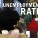 Malawi Needs Radical Solutions to The Perennial Economic Problems