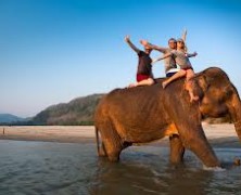 Stray Elephants Kill a 47 Year Old in Chikhwawa district