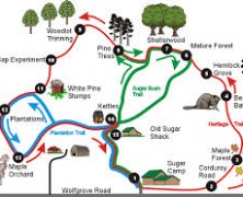 Does Malawi need a local tour bus map?