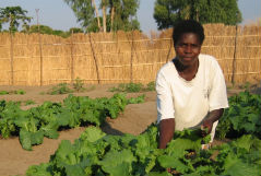 microloan_image_1