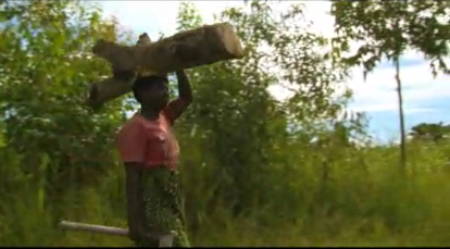 Trees Improve Lives in Malawi