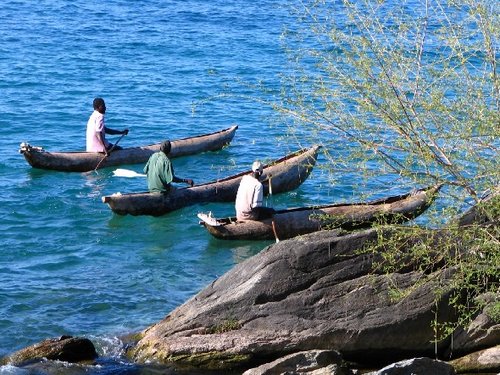 Aquaculture taking root in Malawi as Lake Malawi dries