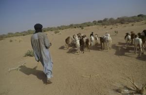 West Africa famine Niger