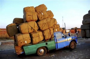A-pick-up-truck-carrying-tobacco-bales-arrives-at-the-auction-floors-in-central-Malawi-district-of-Kasungu