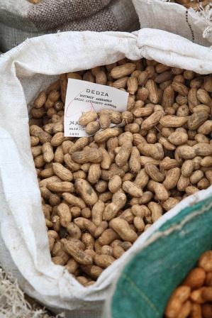 Malawi’s food safety threatened by contaminated groundnuts