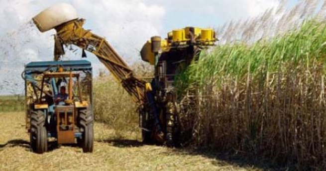 EU gives Malawi K4.8 billion to boost sugar production