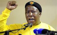 Malema’s farm sold for R2.5m