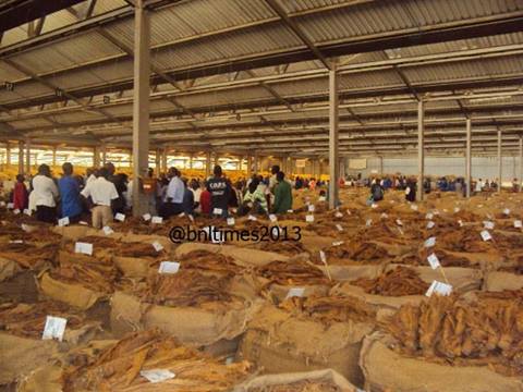 Chaos at Mzuzu auction floors #Malawi