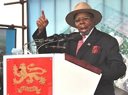 Malawi diplomatic passports withdrawn from Bingu’s children, ex- ministers