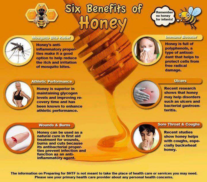 Six Benefits of Honey