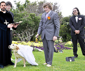 California allows human-animal marriages