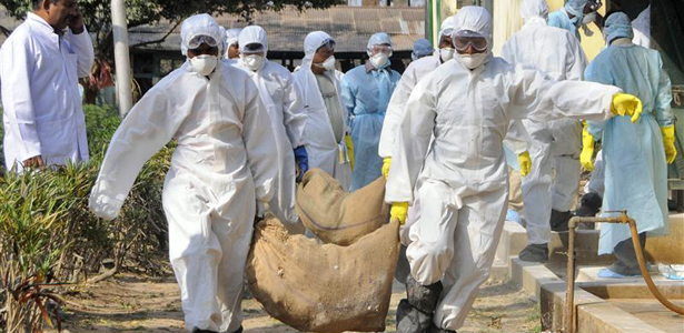 Ebola kills 41 in Congo