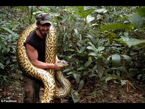EXPLORER TO BE SWALLOWED ALIVE BY A WILD SNAKE