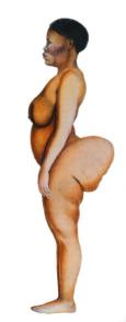 Saartjie Baartman called the Hottentot Venus (from Namibia ) she was flaunted as a freak and curios sex object because of her enlarged hypertrophic genital organs and prominent buttock bottom She died in 1815 after a life of-misery and-prostitution