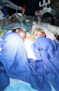 twins 3