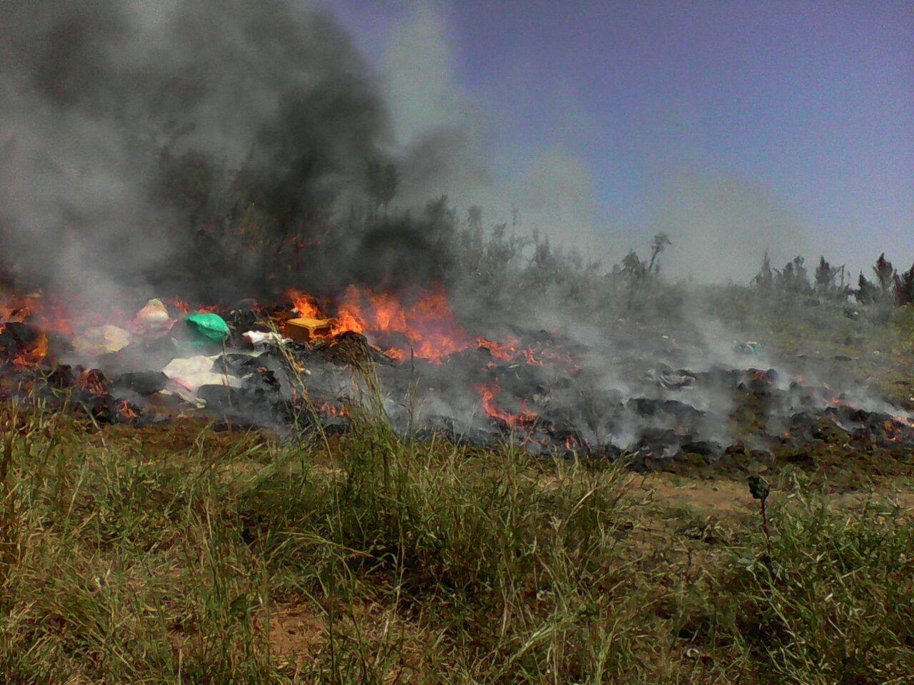 Police burn 40 bags of chamba in Kasungu