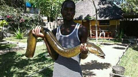 Strange Fish Found on Lake Malawi, People Saying Its A Snake (pictures)