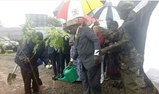 See How Ugandans on Social Media Mocked their President for Watering Plants During Heavy Rainfall