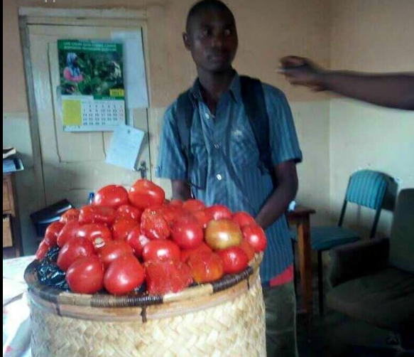 Man arrested for being found with two baskets of Chamba