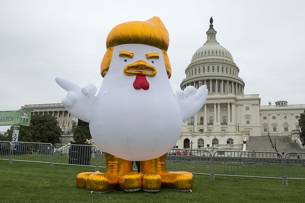 Insane Person Puts an Inflated Donald Trump Chicken in Front of White House (See Photo)