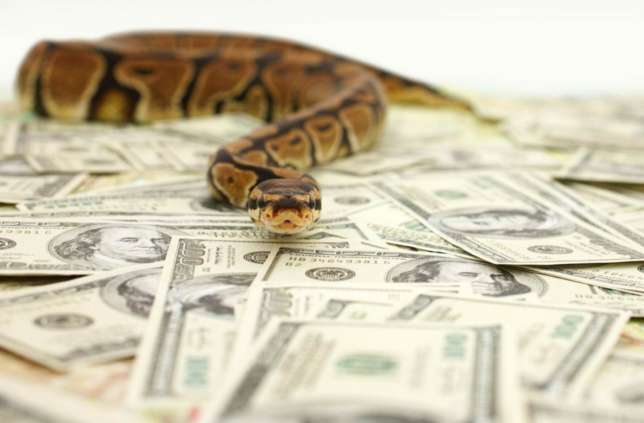 Man Confesses Sleeping With A Snake To Maintain His Wealth, Vows Not To Get Married As Every Woman He Sleeps With Dies