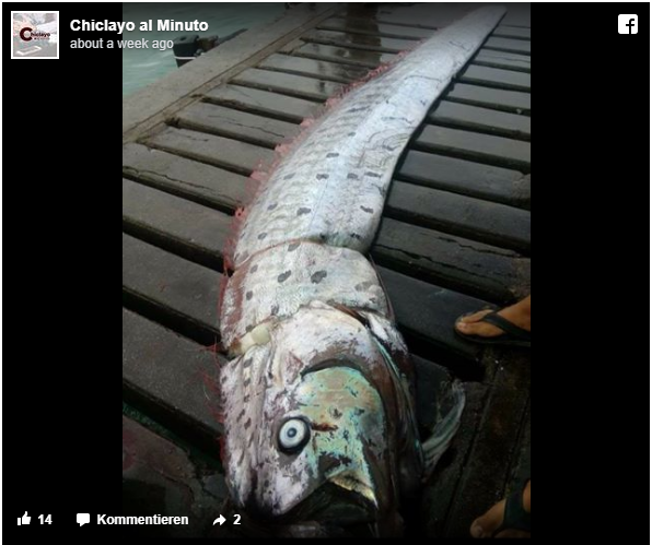 Fear as Rare Deep-Sea Fish Known as Omen of Earthquakes Appears in Japan