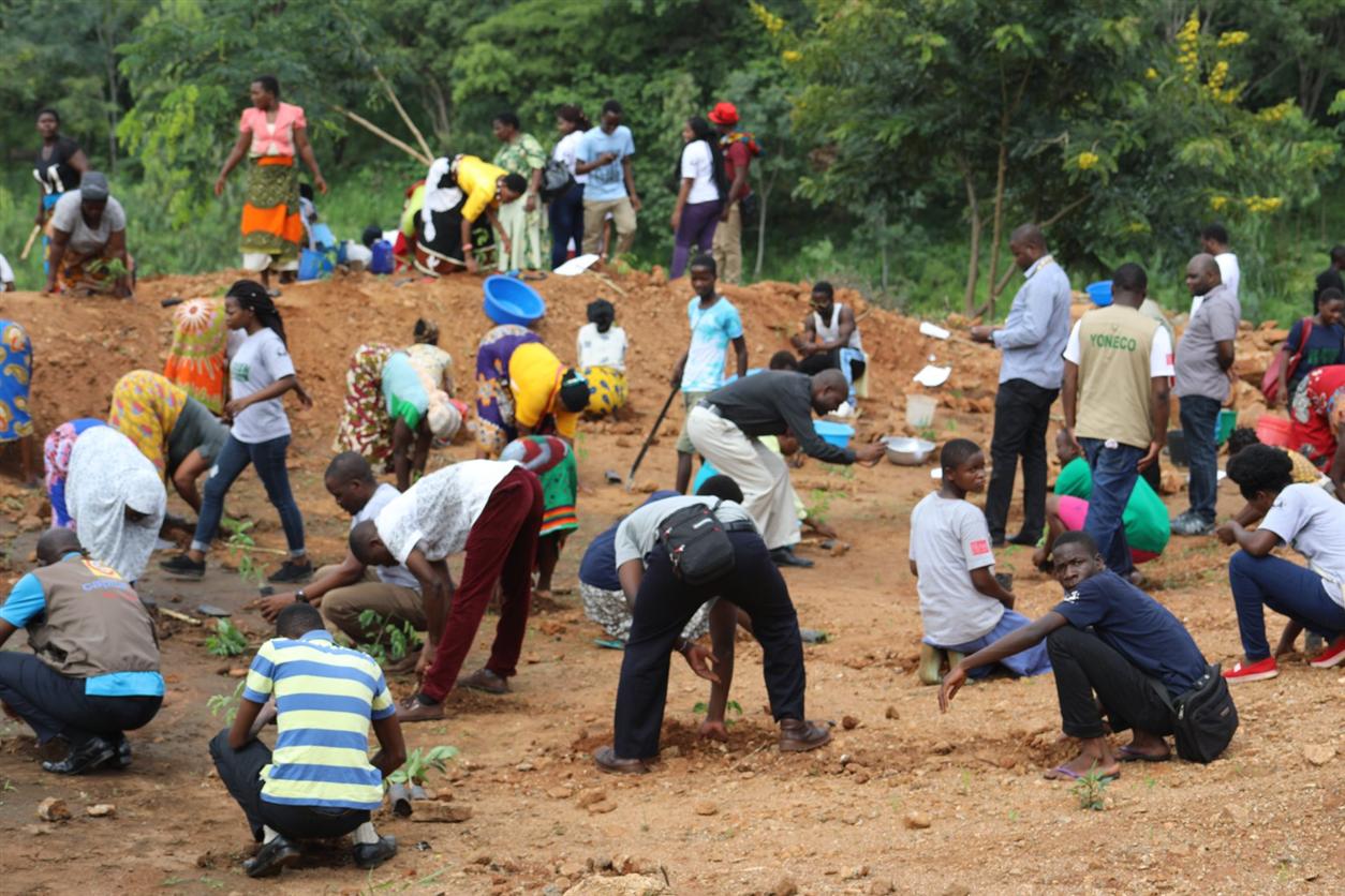 YONECO initiates tree planting exercise in Zomba City