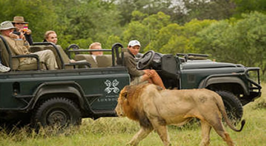 Wildlife Expert Opt for More Epicenters to end Poaching