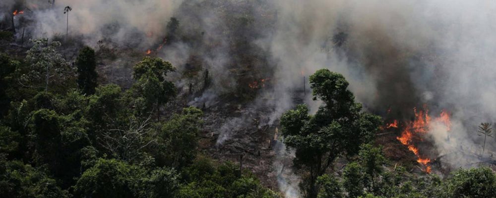 Angola, DRC suffering more forest fires than Amazon: Satellite Data