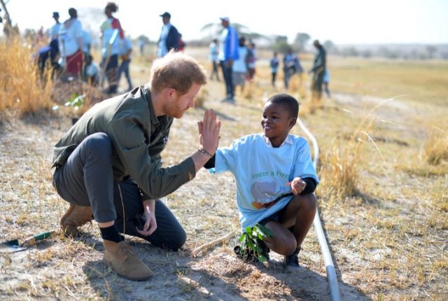Botswana, place to get away from it all – Prince Harry