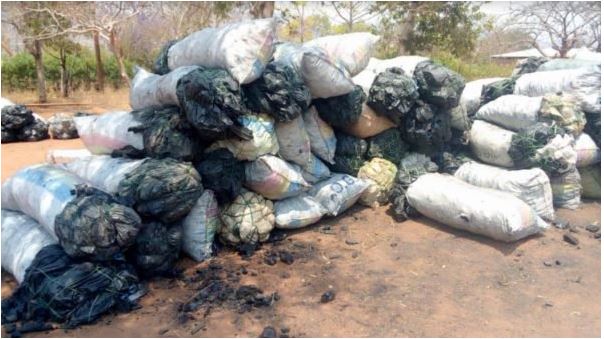Rumphi Forestry Department Confiscates 106 Bags of Charcoal