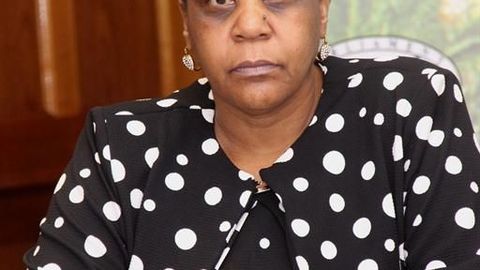 ECF-SADC Executive Committee Chairperson Says “We are not in Malawi to Comment on political Impasse”
