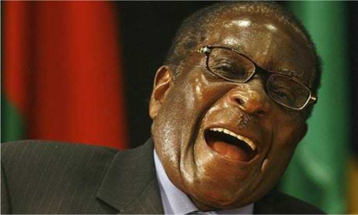 Mugabe exhumation magistrate demoted for incompetence