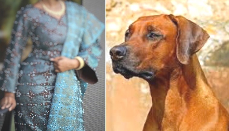“My Husband Married Me For His Dog” – Woman Narrates How She Lost Her Womb