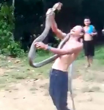 Snake Charmer Killed By King Cobra Bite While Showing Off His Skills to Villagers (video)