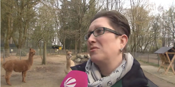 German zoo losing money due to Covid-19 considering to feed animals to each other
