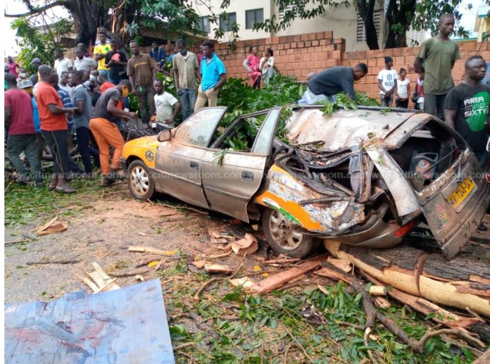 Taxi Driver Crushed To Death After Tree Falls On His Vehicle