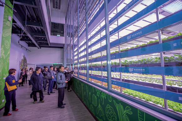 Japan launches huge vertical farm reliant on artificial light