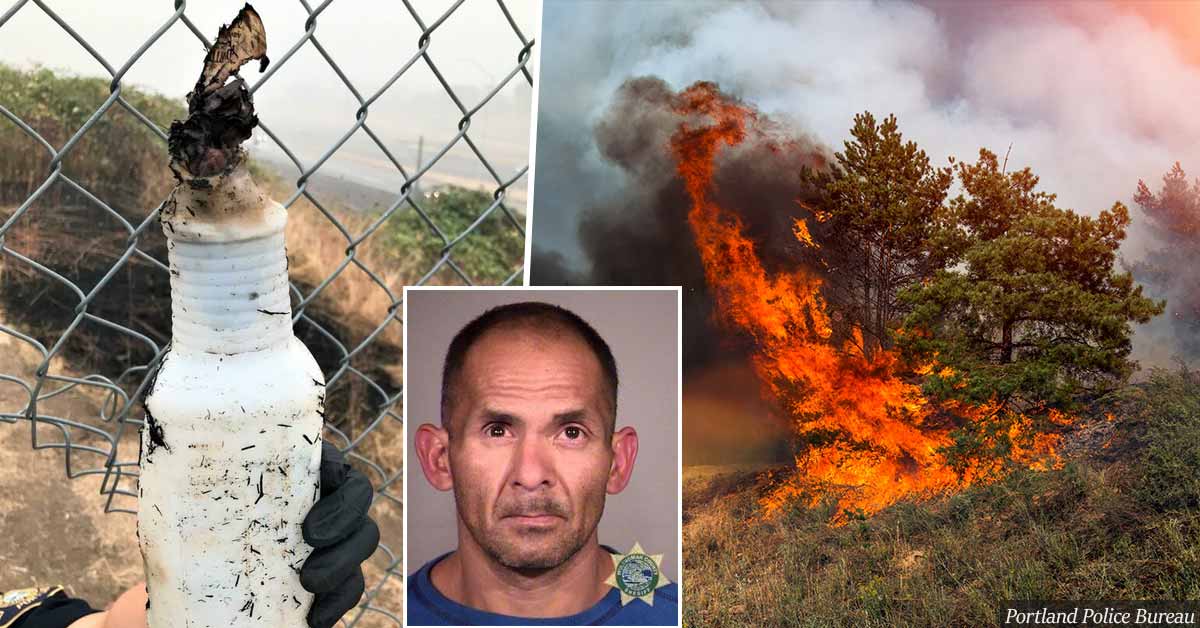 Man Arrested For Starting Wildfire With Molotov Cocktail, Gets Released From Jail, Starts 6 More Fires: Police