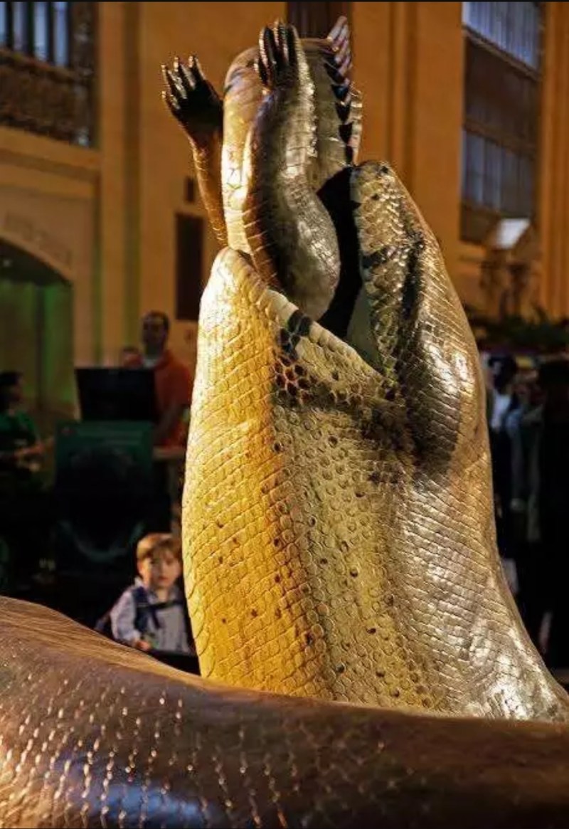 See Photos Of Titanoboa, The World Most Largest And Longest Snake (Photos)