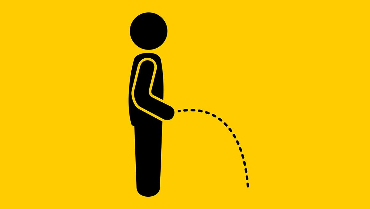 Should You Urinate Before S3x? Find Out What Doctors Say.