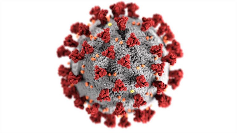Coronavirus cases in Africa rise to over 3.1M