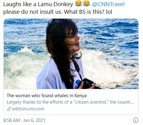 CNN irks Kenyans again with “The Woman who found whales in Kenya”