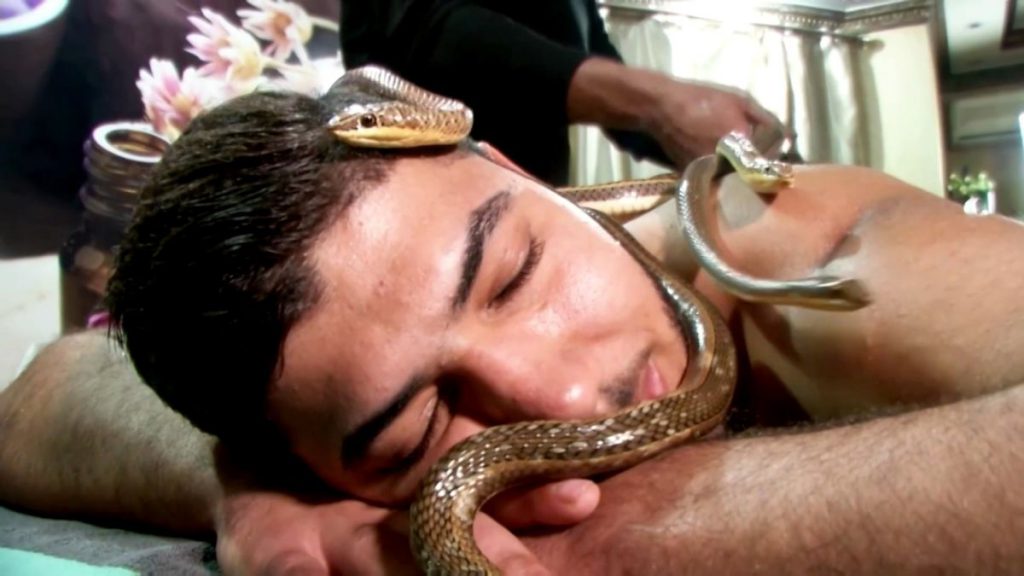 Egypt Spa Offers Snake Massage [Viral Video]