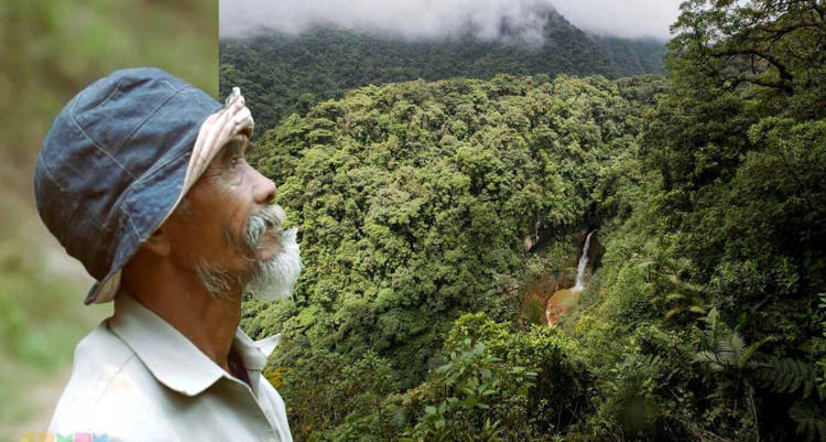 Eco-Warrior Spends 24 Years Turning Barren Hills Into Lush Green Forest