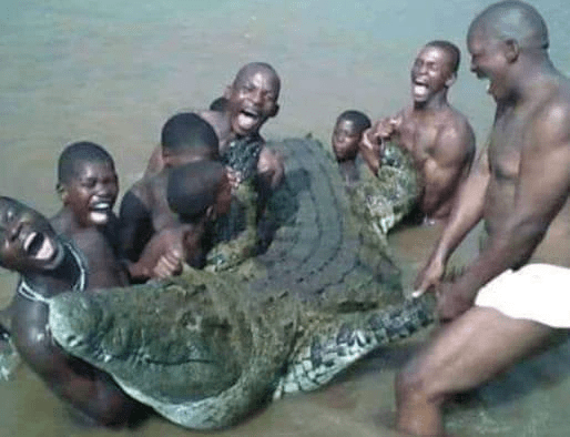 This Crocodile Has Killed Over 80 People And Was Captured By 50 Macho Men In Uganda (More Details)